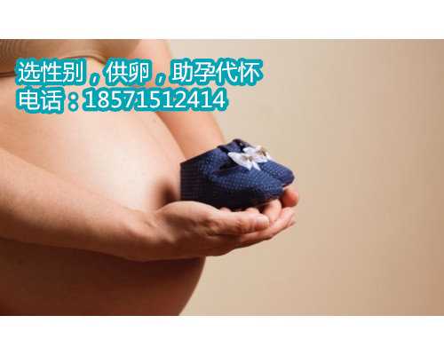 上海同性代孕让代怀孕技术成为“天使”的生命之手