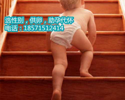 杭州代孕医院名单是如何维护和保护您的私人信息的