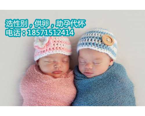 北京私人试管代孕,1湖北试管婴儿技术怎么样成功率高吗