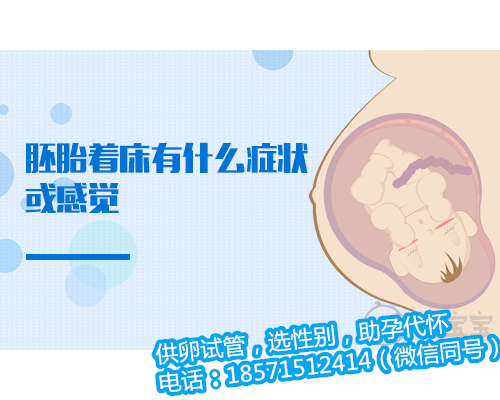 青岛正规捐卵多少钱点,大龄女性能在苏大附一院生殖中心申请供卵吗